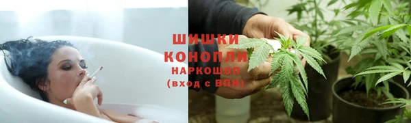 молекула духа Нефтекумск