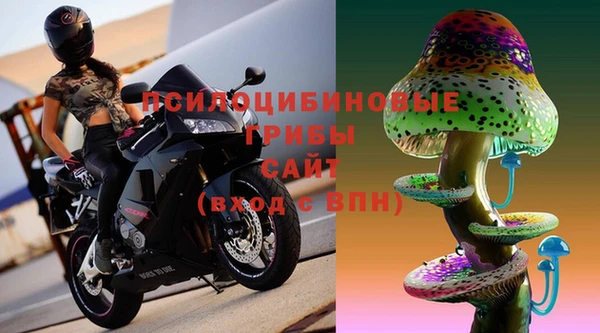молекула духа Нефтекумск